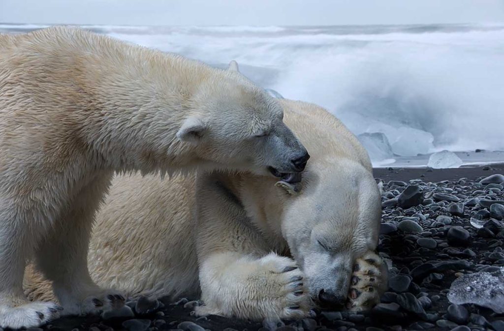 Réchauffement climatique est-il une urgence mondiale