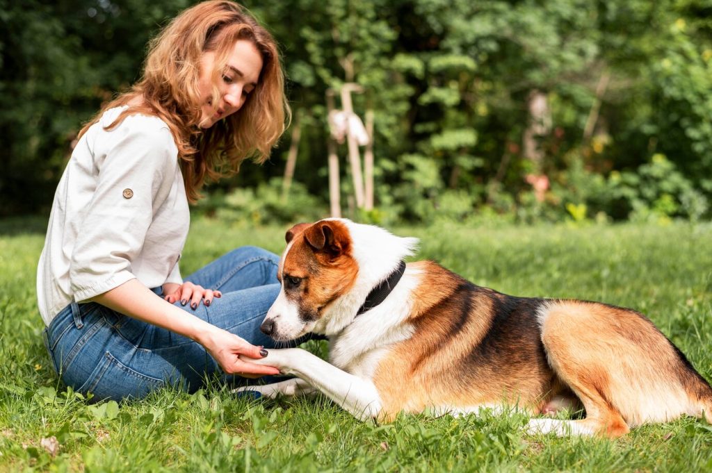 Comprendre le langage corporel des chiens